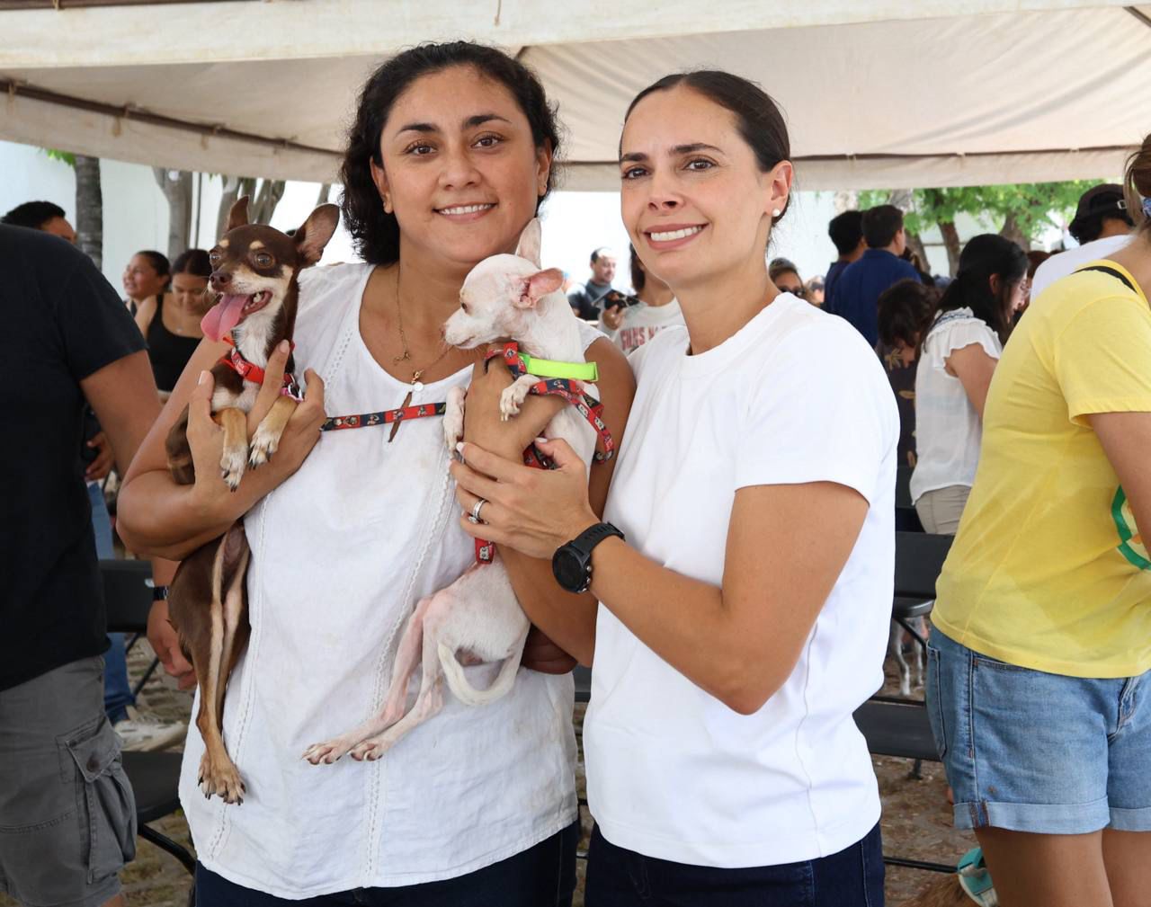 uploads/6/32/01 (2155).Jpeg